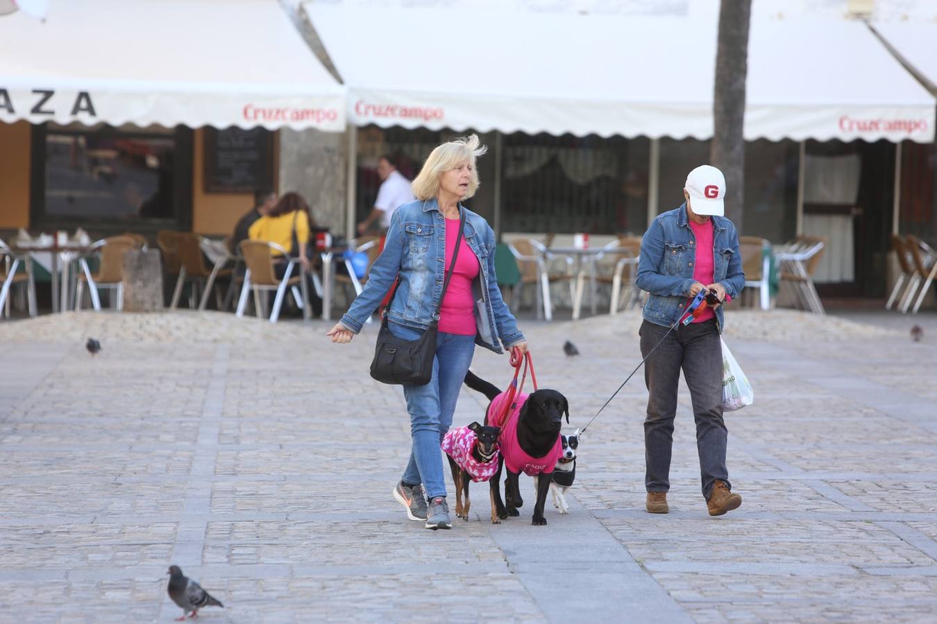 Cádiz se convierte en una ola de color rosa contra el olvido